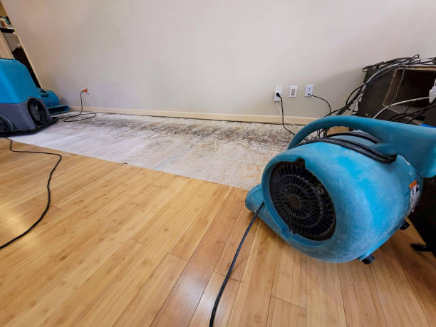 Professional Water Removal technician working in Wrens, GA